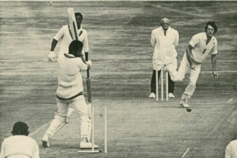 Cricket Rebel
