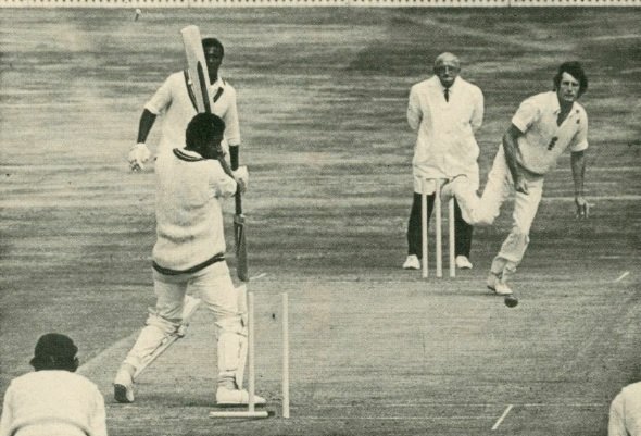 Cricket Rebel